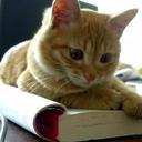 Saisai Wang - @SquirrelSupervi - Twitter