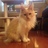 PeachyPoopers's profile image