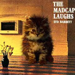 DJRainFox's profile picture. Rain Silversong, or Fox as she is usually called, is a DJ for Radio Free Gaia.  She also doesn't tend to discuss her personal life or history very much.