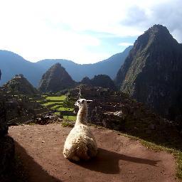 Cervantes020868's profile picture. 