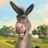 Sempr's profile image