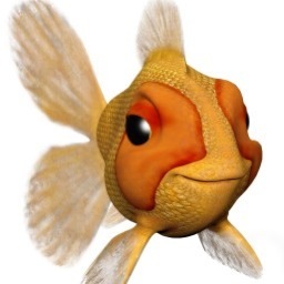 Media, Marketing and PR person who just happens to love fish...