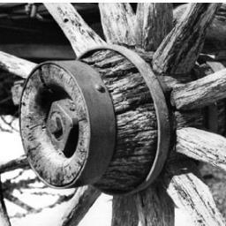 Sobrecochesymas's profile picture. 