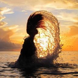 1428572's profile picture. 