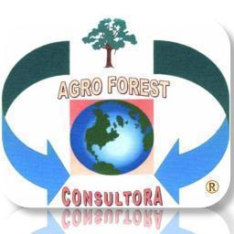 SERVICIOS. ESTUDIO DE IMPACTO AMBIENTAL. (TODA ACTIVIDAD QUE LO REQUIERA) ASISTENCIA TECNICA EN REFORESTACION Y FORESTACION. AUDITORIA AMBIENTAL. ADECUACIÓN