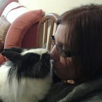 Virginia TP (@arweem) 's Twitter Profile