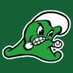 Ashbrook Greenwave (@ahsgreenwave) Twitter profile photo