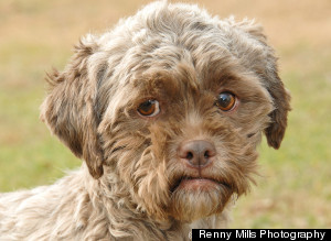 ahsiyasihombre's profile picture. Nací, crecí y a puntito de reproducirme que estoy.