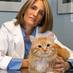 Louise Murray DVM (@vetlouisemurray) Twitter profile photo Louise Murray DVM (@vetlouisemurray) Twitter profile photo