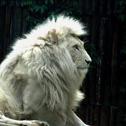The price of Progress is Pain 
Conquer your Fear and you will conquer Death