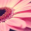 Lynne Farrell - @lycafarr - Twitter