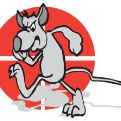 The complete pest control services