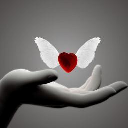 2lovinglifeSG's profile picture. love is life