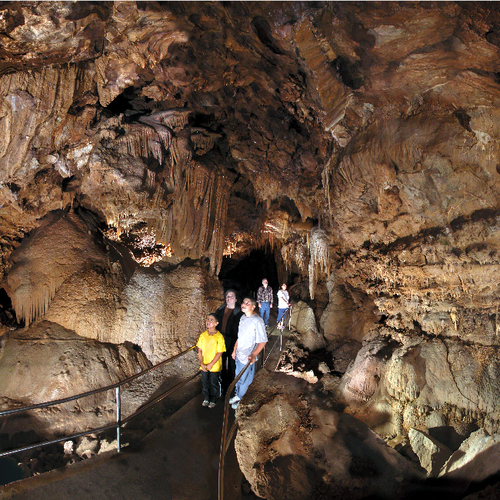 Visit the nation's newest National Natural Landmark.  A limestone cave nestled in North Gray Rocks 850 feet above Shasta Lake.
Cave into your curiosity!!!