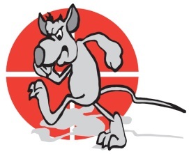 The complete pest control services