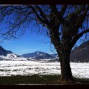 Nicole Baumgartner - @NicoleBaumgar - Twitter