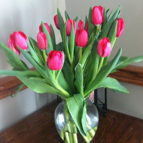 jt1934's profile picture. 