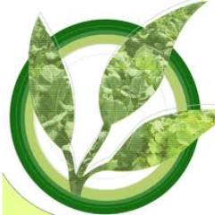 Butuh solusi untuk penyakit ataupun kebutuhan kesehatan anda? Hub. ☎087874208968  / pin:29EE5C73 Lesehanherbal@gmail.com