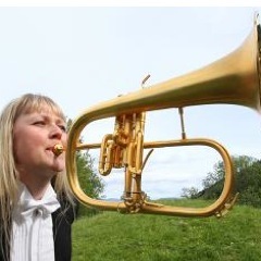 flugelhorn @ebml