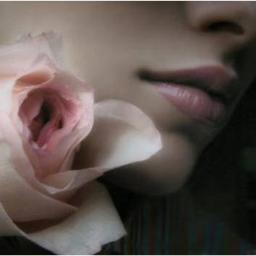 garotaludymilla's profile picture. O amor nos eleva e nos ensina a amar mais o conteúdo do que a embalagem, a preferir a essência ao invés da aparência...