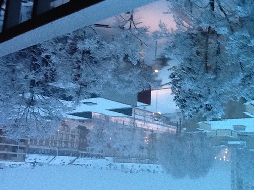 Almel2's profile picture. 