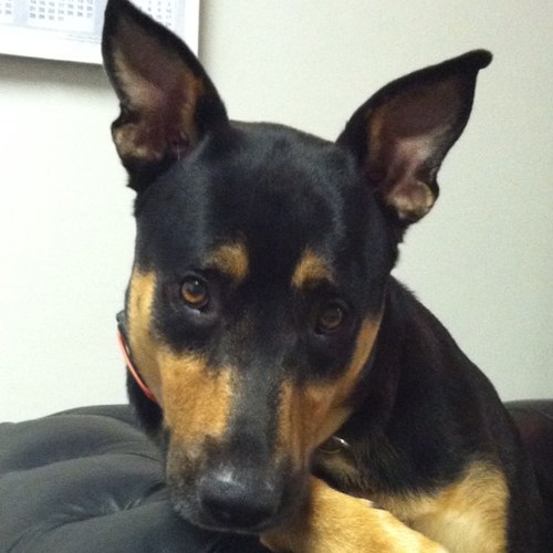 jmwalker49's profile picture. 