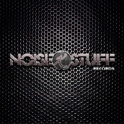 Electronic Music Label. Demos: demos@noiseandstuff.com Contact: contact@noiseandstuff.com #EDM #EDMFamily