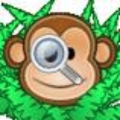 SpyMonkeySpy Profile Picture