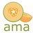 American Melon Assoc