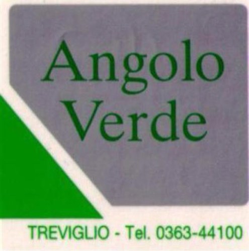 NEGOZIO DI FIORI PIANTE E ARTICOLI DA REGALO SERVIZIO INTERFLORA VENDITA ON LINE SIAMO A TREVIGLIO PROV DI BERGAMO VIALE ORIANO 18 TEL 036344100