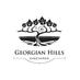 Georgian Hills Vineyards (@georgianhills) Twitter profile photo Georgian Hills Vineyards (@georgianhills) Twitter profile photo