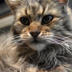 平和が良いに決まってる！