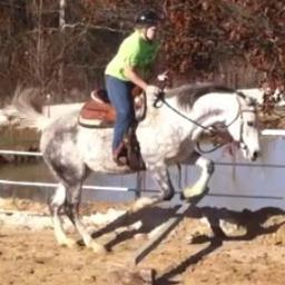 I'm an artist, a photographer, an animal lover, and the best part of my life is being with my best friend; My horse!