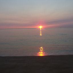 Zarmandaa's profile picture. Sailing through life with insatiable curiosity while farming and practicing emergency medicine in a critical access ED.