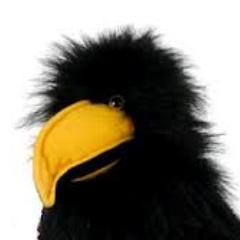 I am Calvin Crow or better known as Calvin the Crow