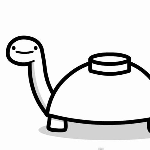 _MineTurtle_ Profile Picture