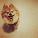 Carter Lynn Arnesen - @tcart - Twitter