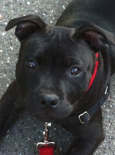 Burrard22's profile picture. 