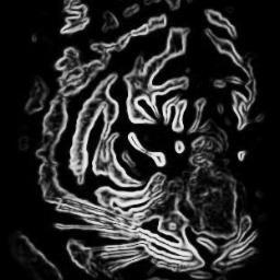 ECSST777's profile picture. ECSST (Endangered Cat Species Survival Trust)

Homepage: http://t.co/sMgvAq8qmY

Facebook: http://t.co/D81vVXagce

Twitter: https://t.co/vLFIQGykOW