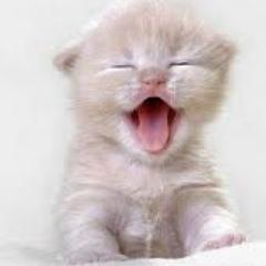 titiiMo's profile picture. lo mejor de la vida son las amigas