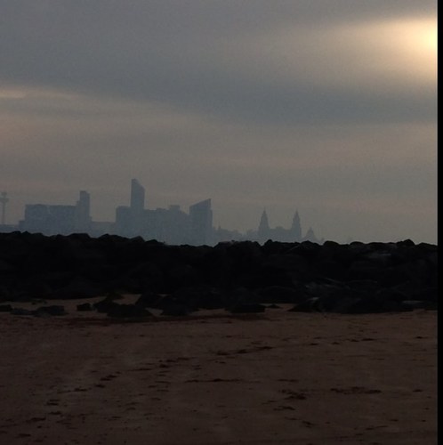 alfiepalfie's profile picture. 