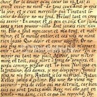 Sally Coulter (@sallypcoulter) 's Twitter Profile