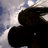 josema4_'s profile image