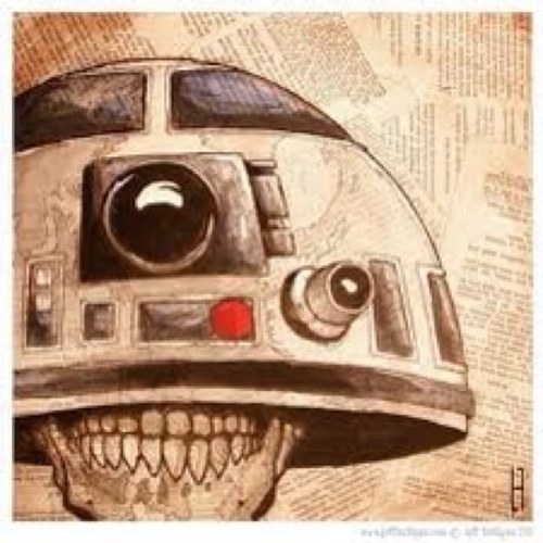 bear7279's profile picture. 