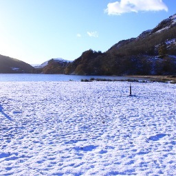 Llyn Gwynant Camping Profile