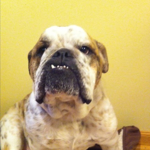 10evntr's profile picture. 