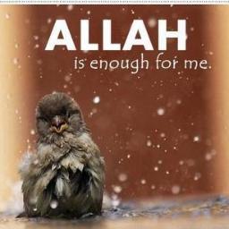 dr_erikus's profile picture. HasbiyAllah