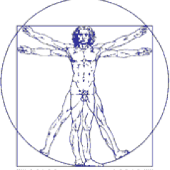 Physiotherapist - PCO - Ergonome - Humaniste - Cycliste