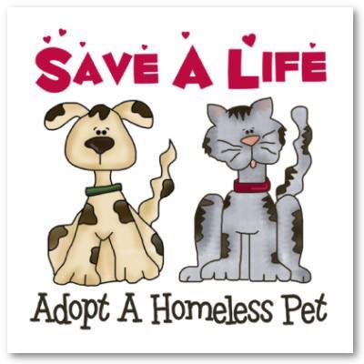 Just a one woman operation trying to raise awareness about pet adoption and get people to adopt and/or donate to animal shelters :)