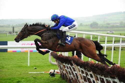 The Best Cheltenham Festival Racing Site on the net. Hector's tips daily and all the latest betting news and Bookie offers.